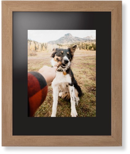 Pet Photo Gallery