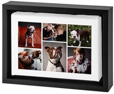 Clean Gallery of Six