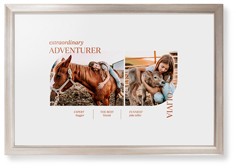 Favorite Infographic​