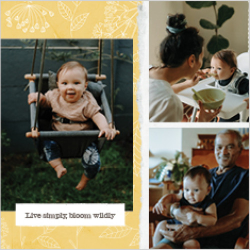 Seasonal Patterns Calendar 12x12 undefined  Wall Calendar