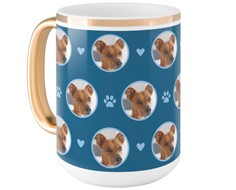 Floating Paws and Pets