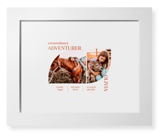 Favorite Infographic​