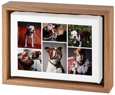 Clean Gallery of Six