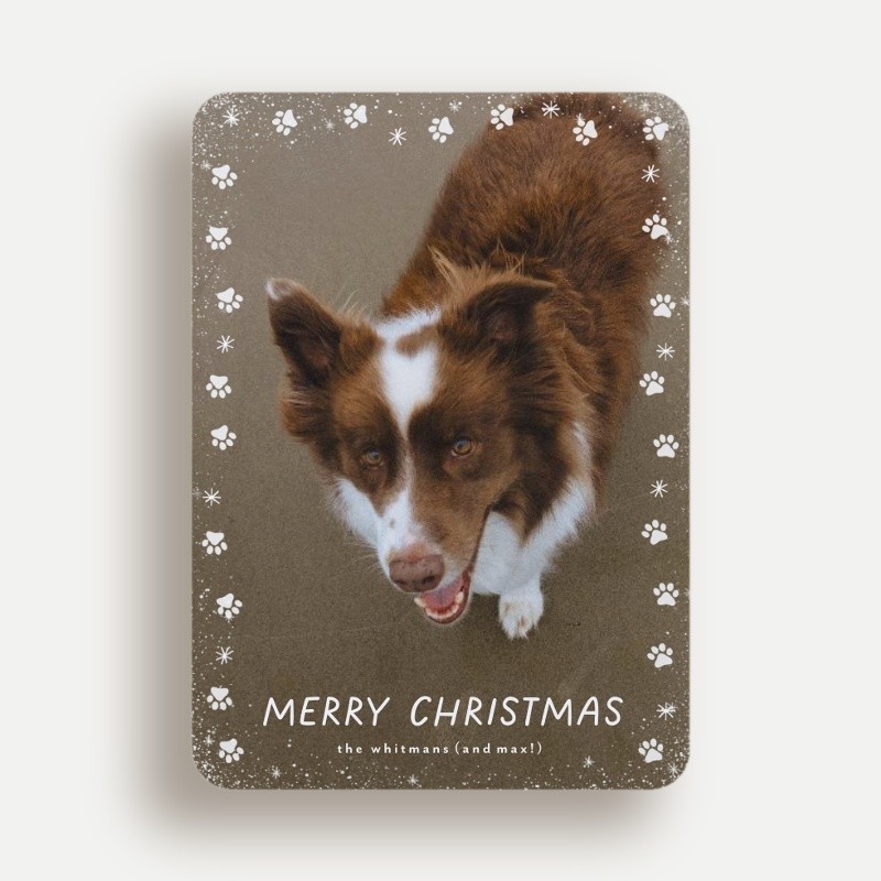 Paw Prints Holiday Card