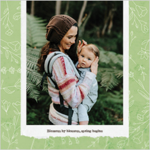 Seasonal Patterns Calendar 12x12 undefined  Wall Calendar