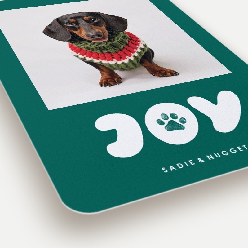 Paw Print Joy Holiday Card