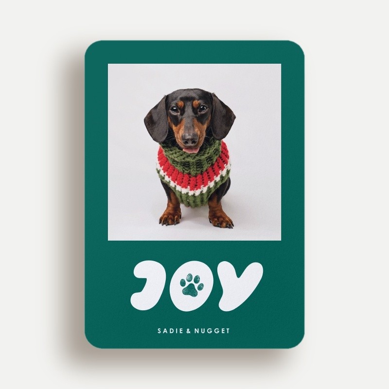 Paw Print Joy Holiday Card