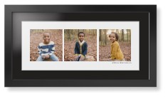 Panoramic Gallery of Three