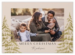 Peaceful Pine Prints