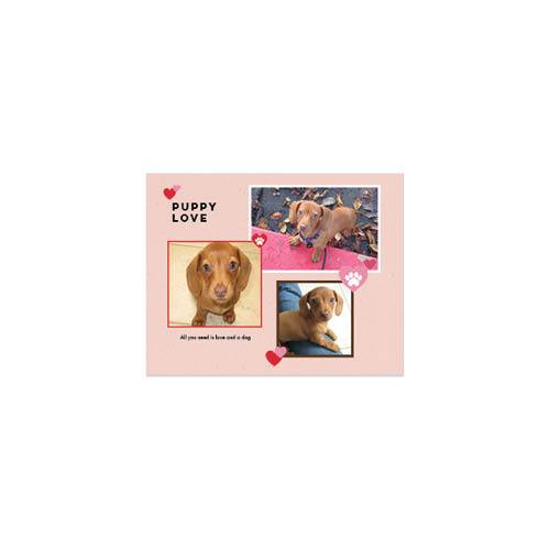 Four Legged Friends 8x11 undefined  Wall Calendar
