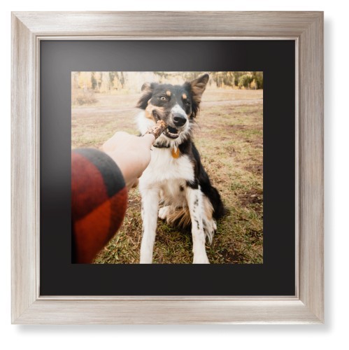 Pet Photo Gallery