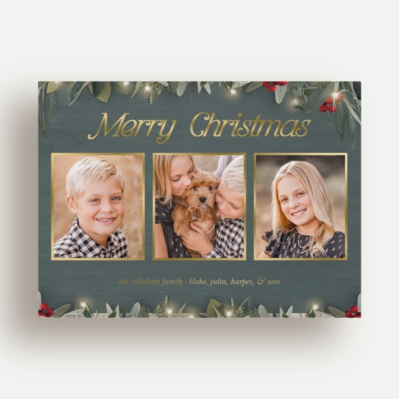 Botanical Trio Holiday Card