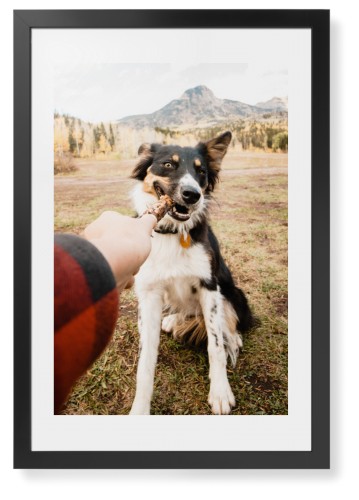 Pet Photo Gallery