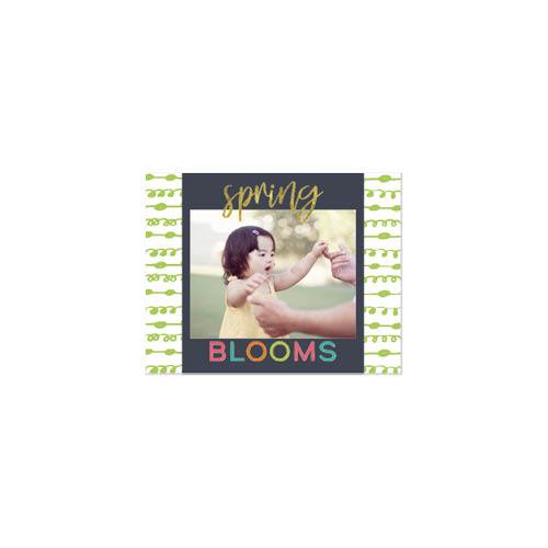 Confetti Family Calendar 8x11 undefined  Wall Calendar