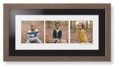 Panoramic Gallery of Three