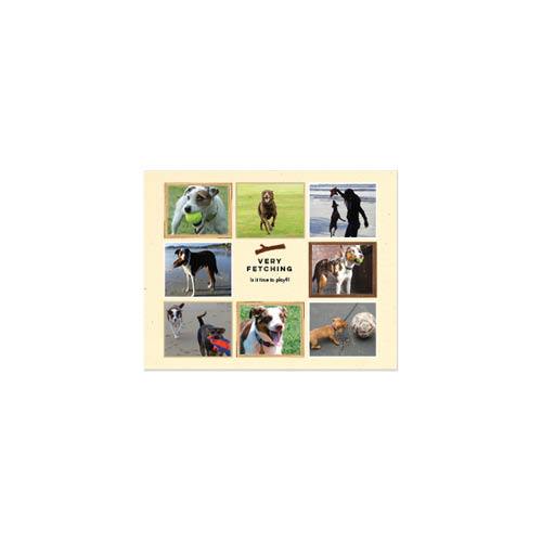 Four Legged Friends 8x11 undefined  Wall Calendar