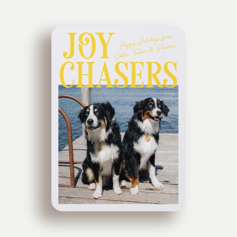 Joy Chasers