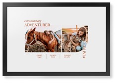 Favorite Infographic​