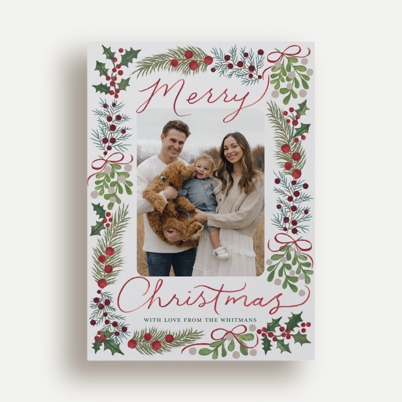 Holly Border