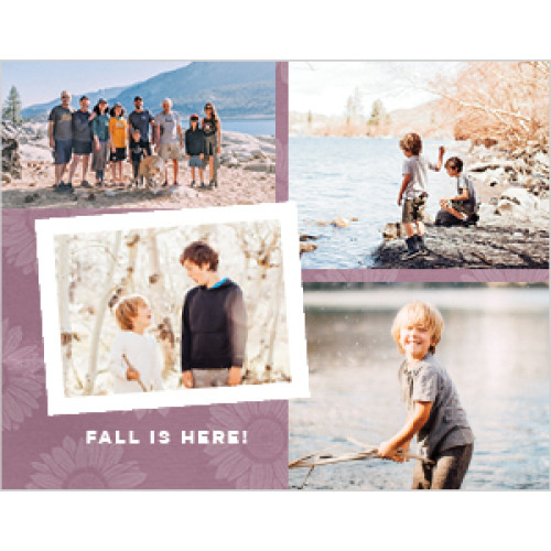 Seasonal Adventures 8x11 undefined  Wall Calendar