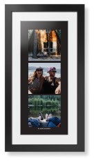 Panoramic Gallery of Three Portrait