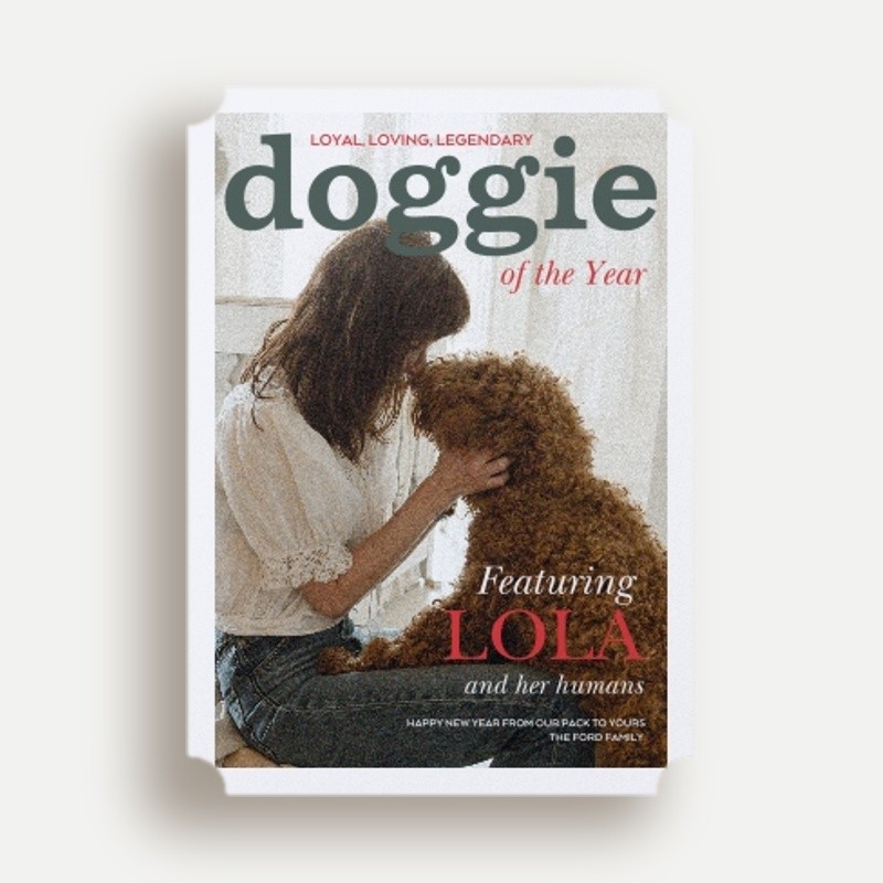 Leanne Ford Cover Pup