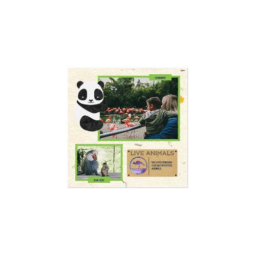 Animal Adventures 8x8 undefined  Premium Album