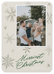 Botanical Snowflakes