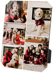 Gallery of Five Portrait