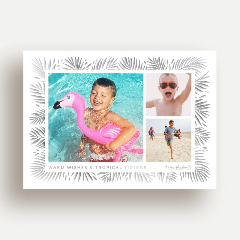 Tropical Tidings