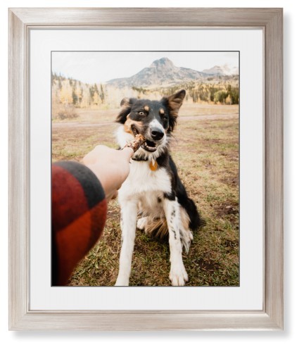 Pet Photo Gallery