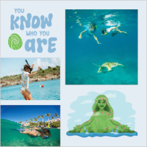 Disney's Moana 12x12 undefined  Wall Calendar