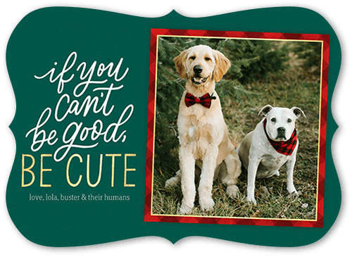 Framed Cute 5x7 Green  Holiday Card