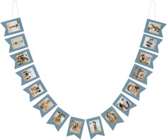 Gallery of One Border