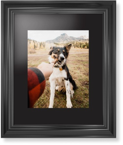 Pet Photo Gallery