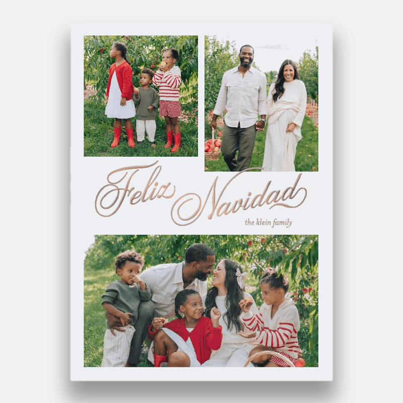 Elegant Gallery Holiday Card Elegant Gallery 6x8 White Holiday Card