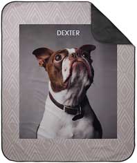 Gallery Border of One