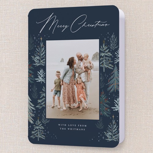 Winter Pines Frame