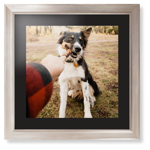 Pet Photo Gallery