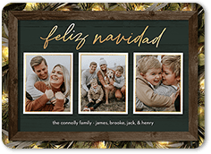 Rustic Evergreen Lights