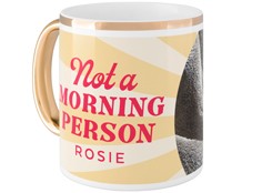 Not a Morning Person