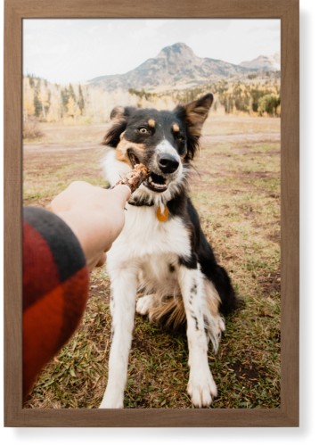 Pet Photo Gallery