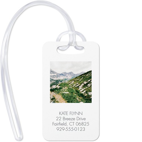 Explore Gallery Of Four 2x3 Multicolor  Luggage Tag