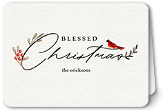 Bird and Holly Berry