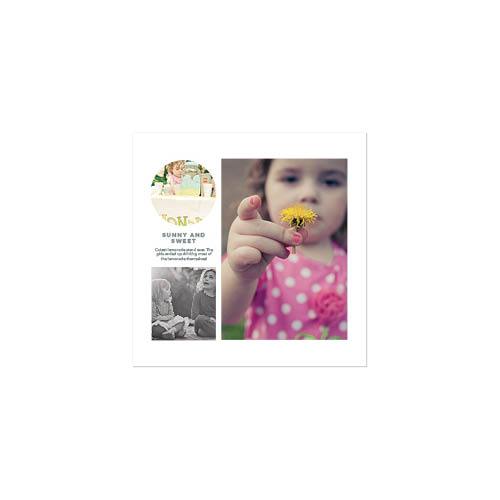 Modern White 10x10 undefined  Premium Album