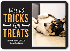 Tricks for Treats