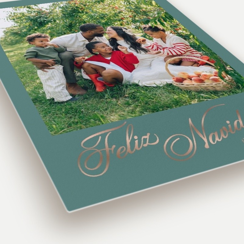 Elegant Gallery Holiday Card