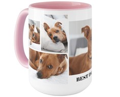 Gallery of Six Pets