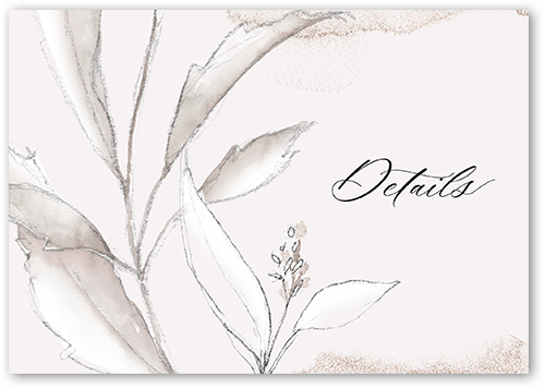 Pictorial Petals