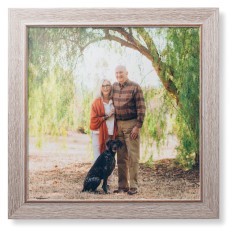 Landscape Photo Gallery